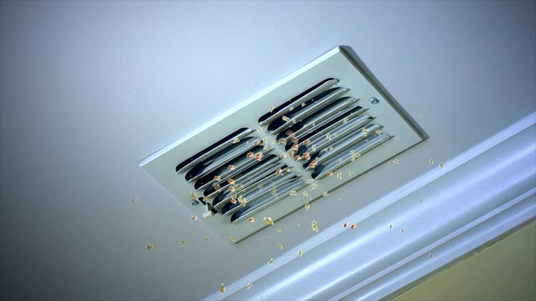 Best Home Air Vent Cleaning  in Tamalpais Homestead Valley, CA