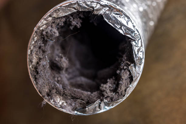 Best Affordable Air Duct Cleaning  in Tamalpais Homestead Valley, CA